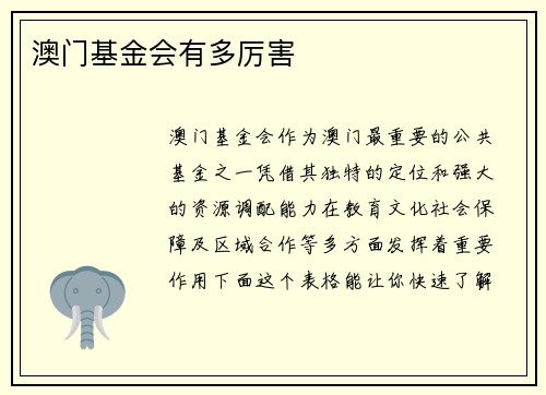 澳门基金会有多厉害